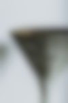 Materiem objects fluted planter web 3